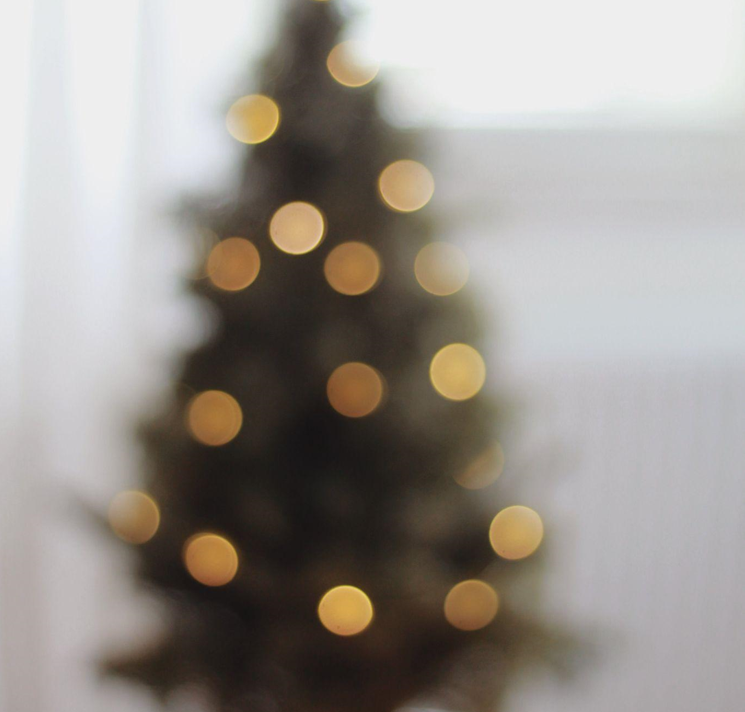 The Ultimate Guide to Christmas Trees and Ornaments