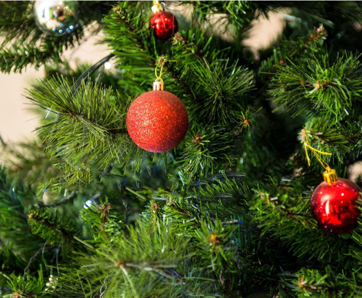 Festive Magic with Garland and Christmas Trees 